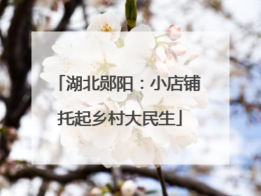 湖北郧阳：小店铺托起乡村大民生