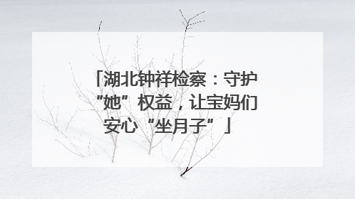 湖北钟祥检察：守护“她”权益，让宝妈们安心“坐月子”