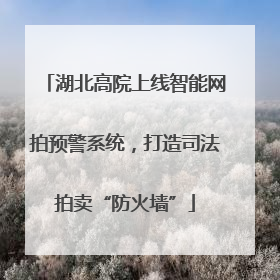 湖北高院上线智能网拍预警系统，打造司法拍卖“防火墙”