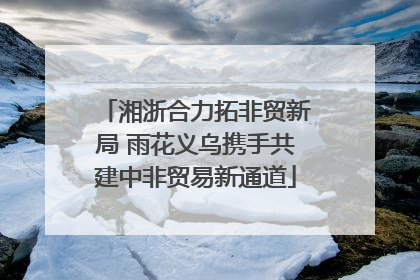 湘浙合力拓非贸新局 雨花义乌携手共建中非贸易新通道