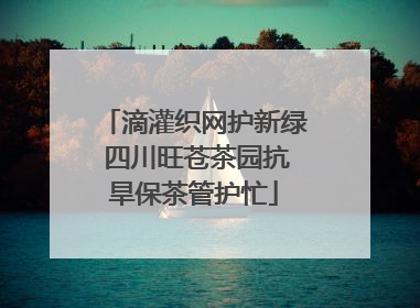滴灌织网护新绿 四川旺苍茶园抗旱保茶管护忙
