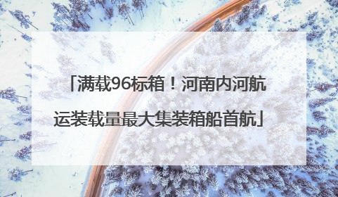 满载96标箱！河南内河航运装载量最大集装箱船首航