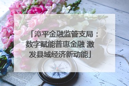 漳平金融监管支局：数字赋能普惠金融 激发县域经济新动能