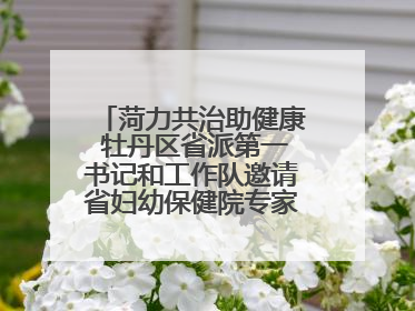 菏力共治助健康 牡丹区省派第一书记和工作队邀请省妇幼保健院专家开展义诊活动