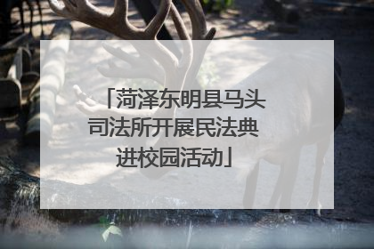 菏泽东明县马头司法所开展民法典进校园活动