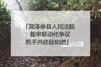 菏泽单县人民法院：裁审联动化争议 携手共建促和谐