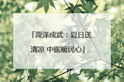 菏泽成武：夏日送清凉 中医暖民心