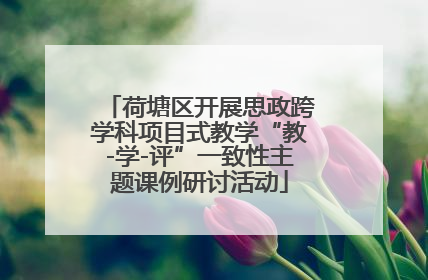 荷塘区开展思政跨学科项目式教学“教-学-评”一致性主题课例研讨活动