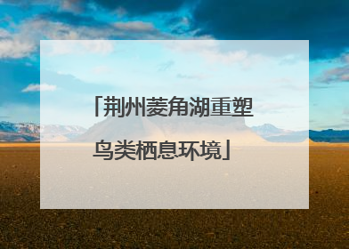 荆州菱角湖重塑鸟类栖息环境