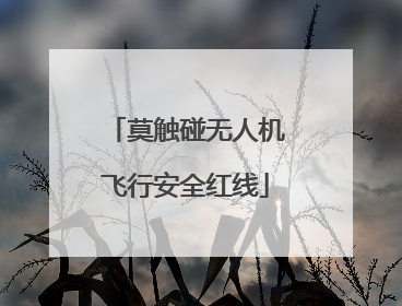莫触碰无人机飞行安全红线