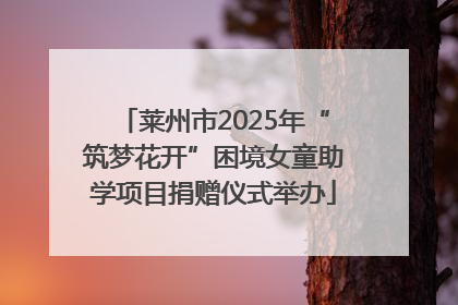 莱州市2025年“筑梦花开”困境女童助学项目捐赠仪式举办