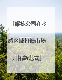 耀栋公司在孝感区域打造市场开拓新范式