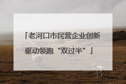 老河口市民营企业创新驱动领跑“双过半”