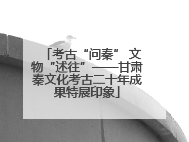 考古“问秦” 文物“述往”——甘肃秦文化考古二十年成果特展印象