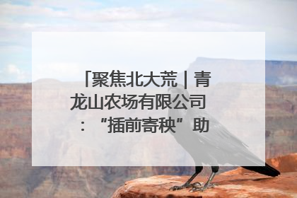 聚焦北大荒｜青龙山农场有限公司：“插前寄秧”助力农业节本增效
