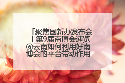 聚焦国新办发布会丨第9届南博会速览⑥云南如何利用好南博会的平台带动作用，深化与南亚国家的交流与合作？