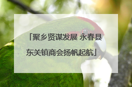 聚乡贤谋发展 永春县东关镇商会扬帆起航