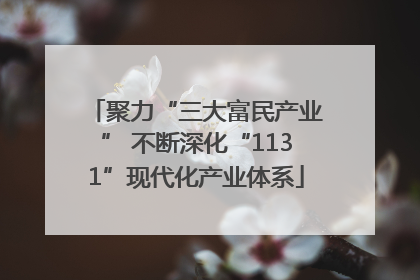 聚力“三大富民产业” 不断深化“1131”现代化产业体系