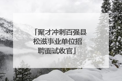 聚才冲刺百强县 松滋事业单位招聘面试收官