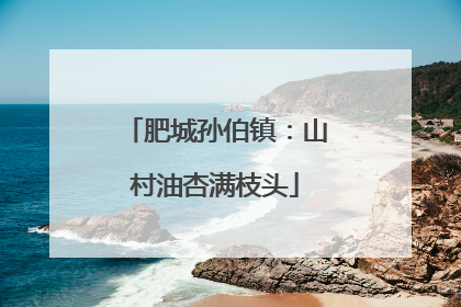 肥城孙伯镇：山村油杏满枝头