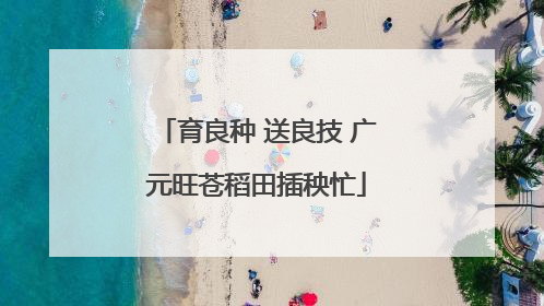 育良种 送良技 广元旺苍稻田插秧忙
