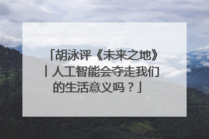 胡泳评《未来之地》︱人工智能会夺走我们的生活意义吗？