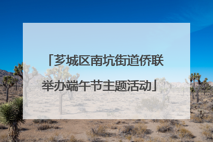 芗城区南坑街道侨联举办端午节主题活动