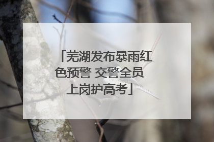 芜湖发布暴雨红色预警 交警全员上岗护高考