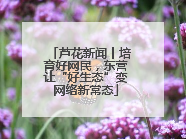 芦花新闻丨培育好网民，东营让“好生态”变网络新常态