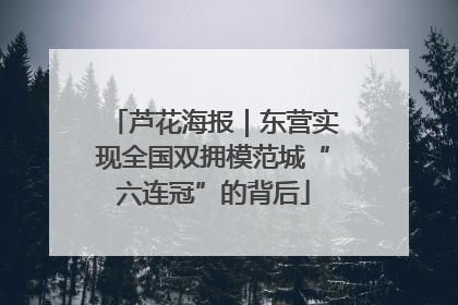芦花海报｜东营实现全国双拥模范城“六连冠”的背后
