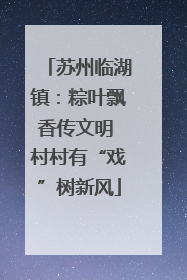 苏州临湖镇：粽叶飘香传文明 村村有“戏”树新风