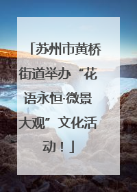 苏州市黄桥街道举办“花语永恒·微景大观”文化活动！