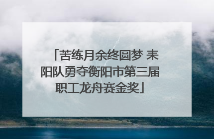 苦练月余终圆梦 耒阳队勇夺衡阳市第三届职工龙舟赛金奖