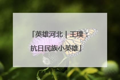 英雄河北｜王璞：抗日民族小英雄