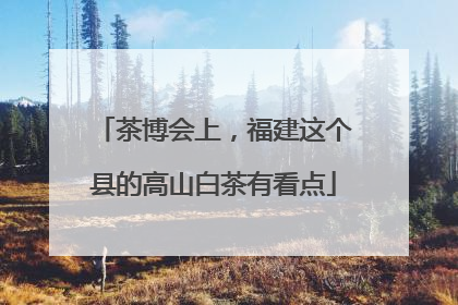 茶博会上，福建这个县的高山白茶有看点