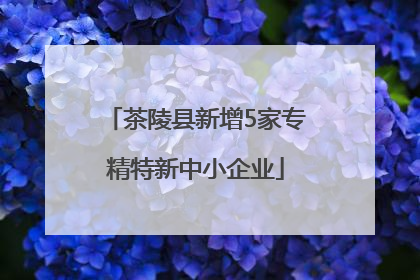 茶陵县新增5家专精特新中小企业