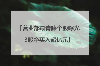 营业部最青睐个股曝光 3股净买入超亿元