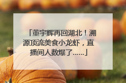 董宇辉再回湖北！溯源顶流美食小龙虾，直播间人数爆了……