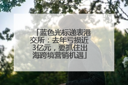 蓝色光标递表港交所：去年亏损近3亿元，要抓住出海跨境营销机遇