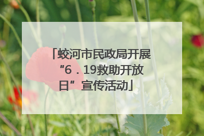 蛟河市民政局开展“6．19救助开放日”宣传活动