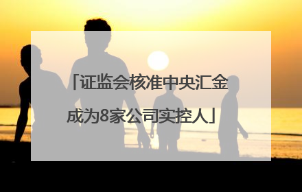 证监会核准中央汇金成为8家公司实控人