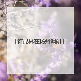 许昆林在扬州调研