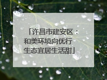 许昌市建安区：和美环境向优行 生态宜居生活甜