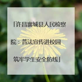 许昌襄城县人民检察院：普法宣传进校园 筑牢学生安全防线