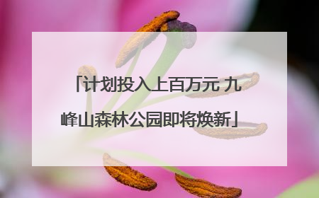计划投入上百万元 九峰山森林公园即将焕新