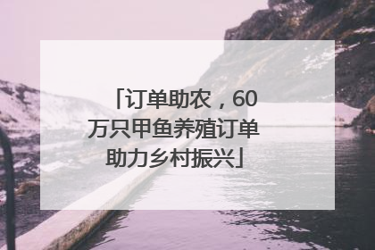 订单助农，60万只甲鱼养殖订单助力乡村振兴