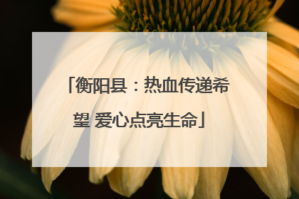 衡阳县：热血传递希望 爱心点亮生命