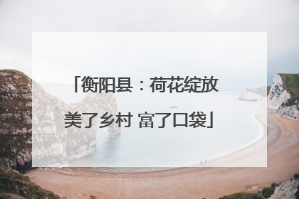 衡阳县：荷花绽放 美了乡村 富了口袋