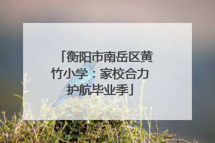 衡阳市南岳区黄竹小学：家校合力护航毕业季