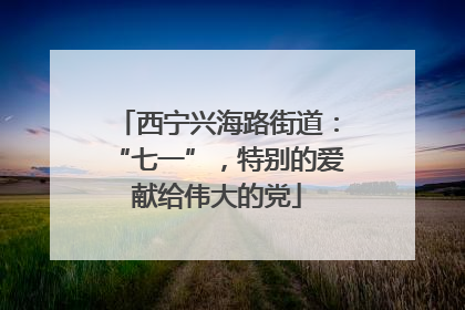 西宁兴海路街道：“七一”，特别的爱献给伟大的党